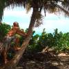 Arjen climbing the coconuttree in a 2011 7Shores boardshort 'Rasta'