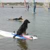 WSR Teamrider Surfdog Pepper testing da Fanatic Viper @ da Surffestival Brouwersdam 14.06.03