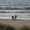 Arjen & Marcus getting ready @ Renesse Northshore 20.06.03