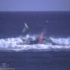 Crowds on a big wave @ Silver Rock