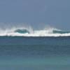 Jaws of Barbados outside reefbreak @ Maycox Barbados 28.01.04