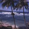 Nice waves @ Bathsheba Barbados 2002