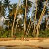 Westcoast beach @ St. Peter Barbados 26.02.04