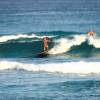 Arjen surfing a clean one @ Ocean Spray Barbados 17.02.05