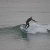 Arjen surfing his Tuflite board @ Nieuw Haamstede