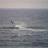 Arjen backlooping @ Deadman's Point/Maasvlakte