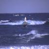 2000: One-handed at Ocean Spray (Goya + 5.3)