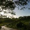 Green hills @ Barbados