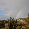 Rainbow@Seascape Beach House Barbados