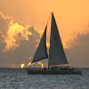 Catamaran @ sunset @ Barbados