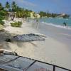 Aldo's Tushingham Rock@Sandy Beach@Barbados