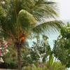 Garden of Eden @ Freights Barbados
