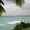 Surfers paradise @ Barbados