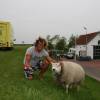 Brian Talma and a sheep @ Windsurfing Renesse 17.05.06