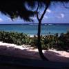 2000: View at Silver Rock Beach