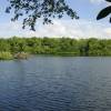 Graeme Hall Nature Reserve @ Barbados