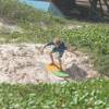 Sand skimboarder @ Silver Rock Beach Barbados