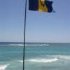 Barbados flag flying @ Watermen Festival 2007 @ Silver Rock Beach