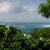 Cowpens in the north of Barbados