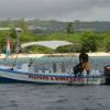 Reefers and wreckers @ the westcoast of Barbados