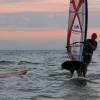 Pepper windsurfing @ sunset @ da Brouwersdam