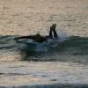 Arjen paddling a wave @ Nieuw-Haamstede