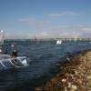 Lots of windsurfers on the water @ the SurfFestival 2007