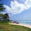 The beach @ Surfers Point Barbados