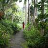 Ianthe @ the Flower Forrest Barbados