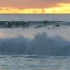 Sunset surfing @ Sandy Lane