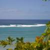 Outer Reef @ Maycocks