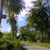 Road to Bathsheba @ Barbados