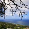 View towards eastcoast @ Barbados