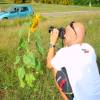 Arjen capturing a sunflower @ Barbados