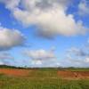 Countryside @ Barbados