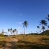 Morgan Lewis Beach @ Barbados