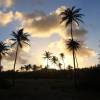 Sunset @ Morgan Lewis Beach Barbados