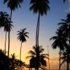 Tropical sunset on the westcoast of Barbados