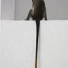 Bajan Green Monkey tail @ Silver Sands Barbados