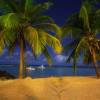 Coconuttrees in the fullmoon @ Sandy Beach Barbados