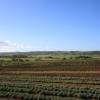 St. George Valley @ Barbados