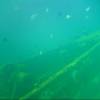 French tugboat wreck @ the Carlisle Bay Barbados