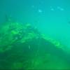 Snorkling at the wreck @ Carlisle Bay Barbados