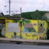 100% Bajan Bar @ Barbados