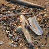 Shells on the beach of da Brouwersdam