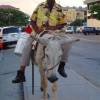 Eco transport @ Tortola