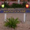 De Loose Mongoose Bar @ Trellis Bay Tortola