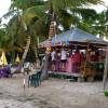 De Loose Mongoose Bar @ Tortola