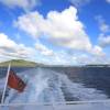 Sailing back to Tortola with Speedy's catamaran