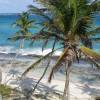 Tropical Harrismith beach @ Barbados